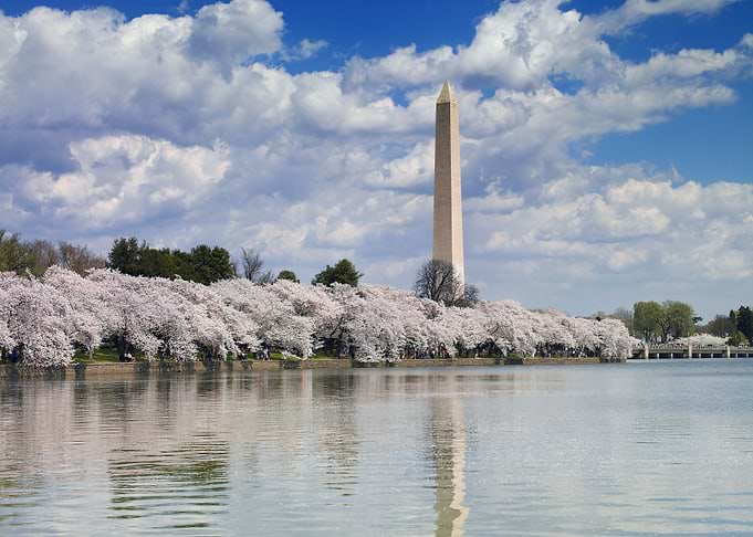 Washington Monument