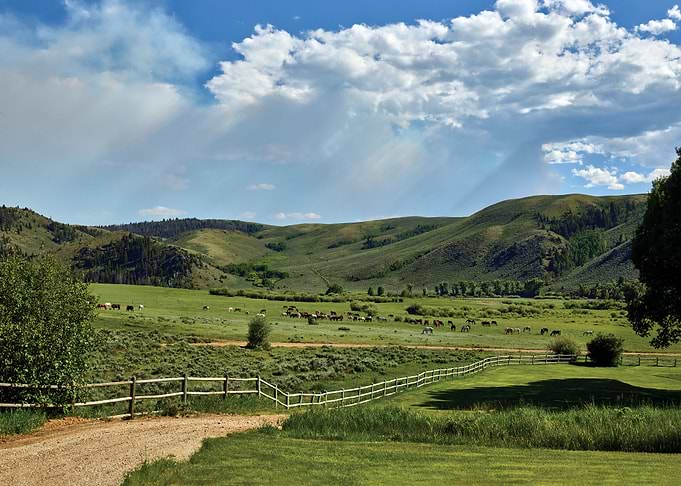 guest ranch