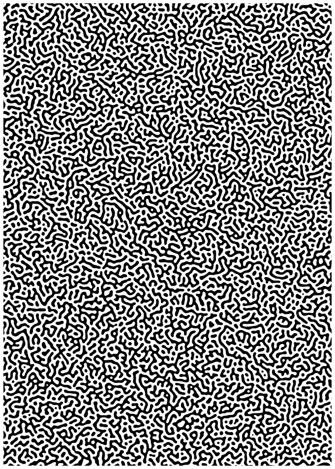 Turing Pattern Black White