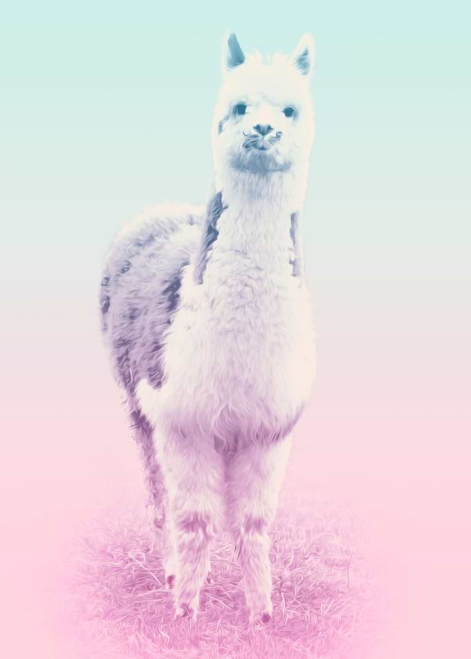 lama