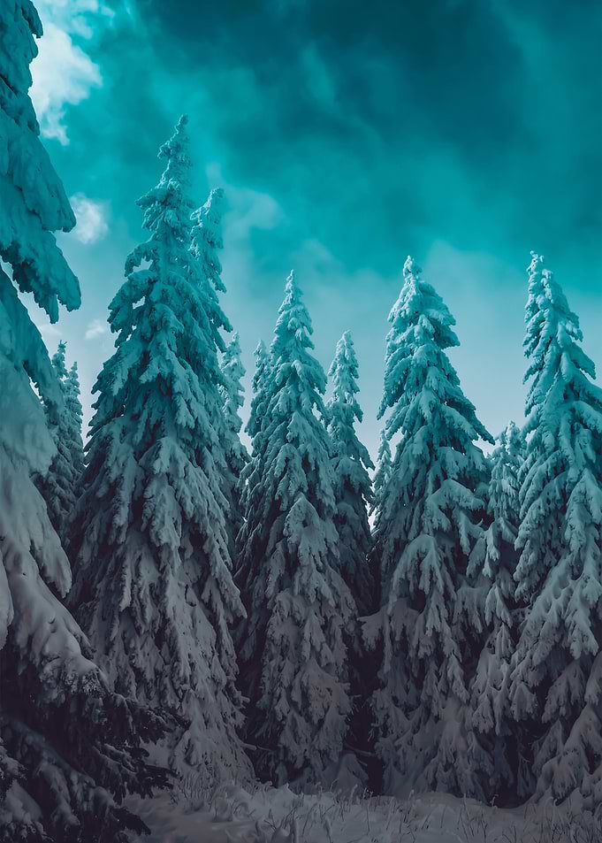 Frozen