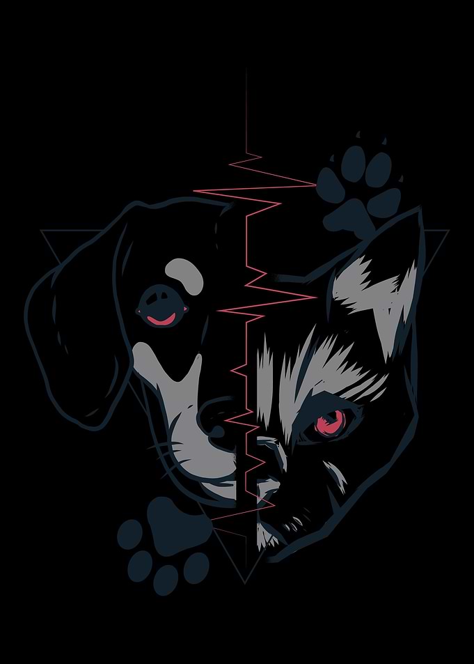 dog Cat