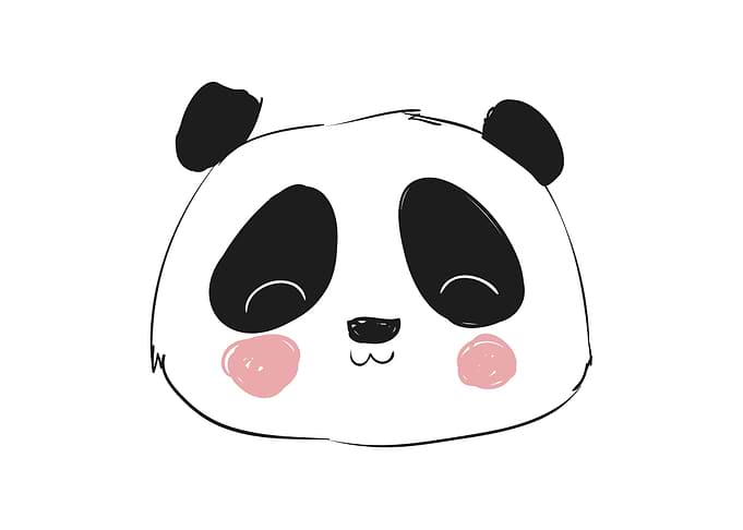 Cute panda kids Room