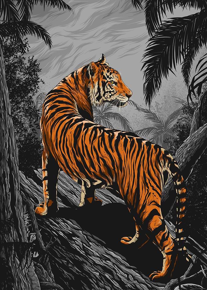 Tiger II
