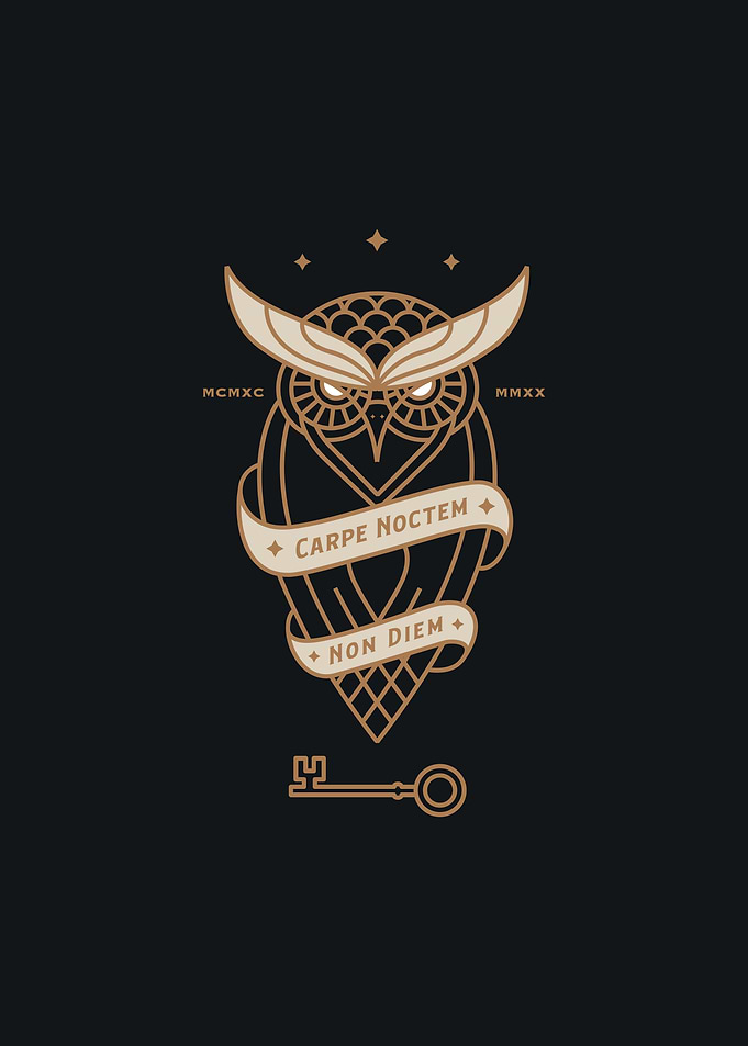 Seize the night Owl
