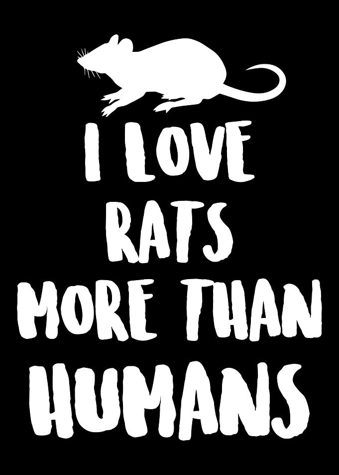 I love rats