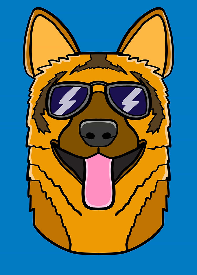 Funny German shepherd dog