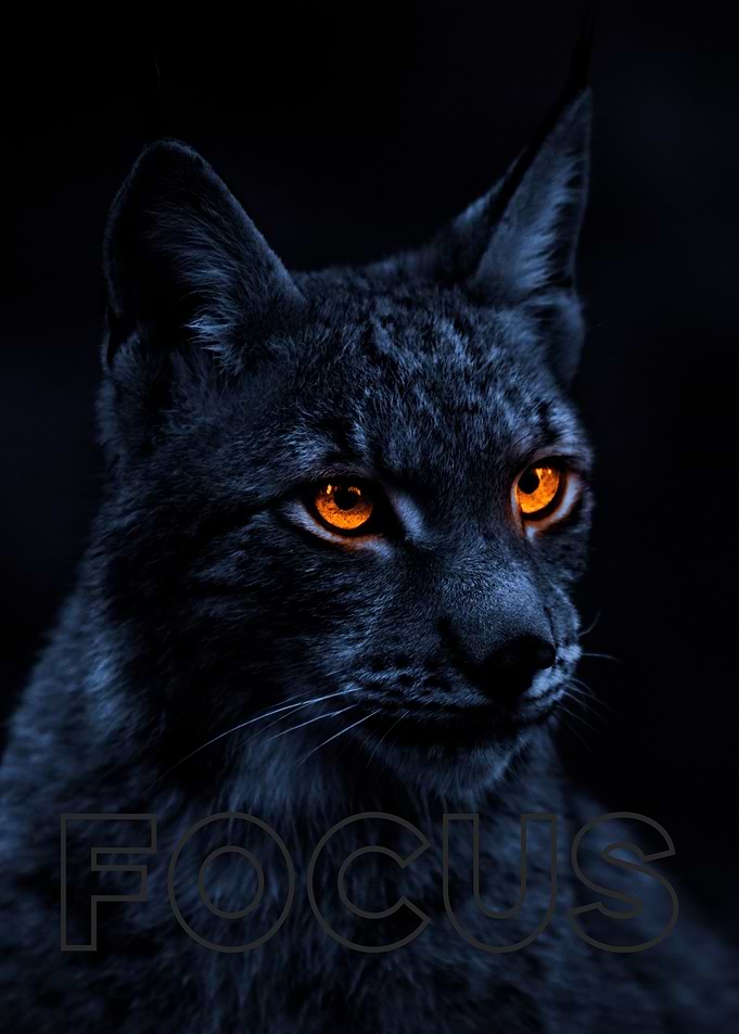 Focus