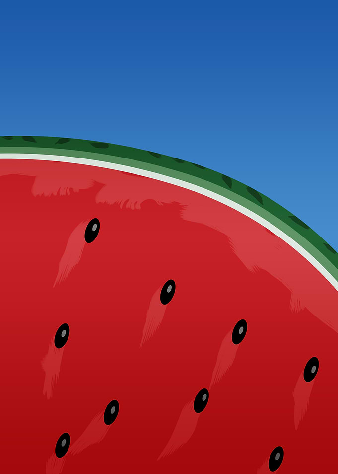 Watermelon Illustration