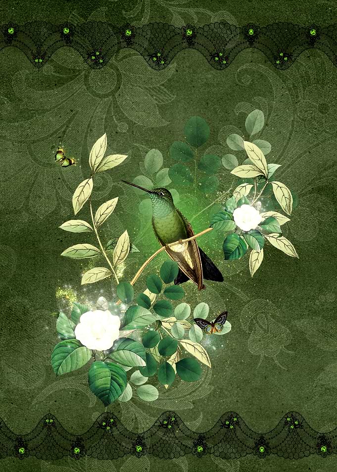 Wonderful flowers