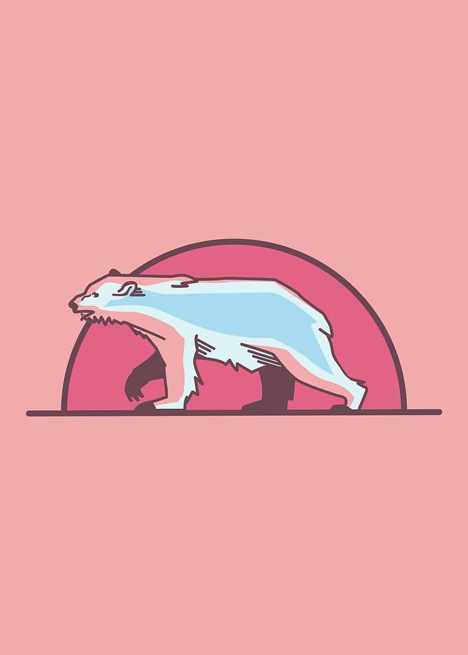 Polar bear