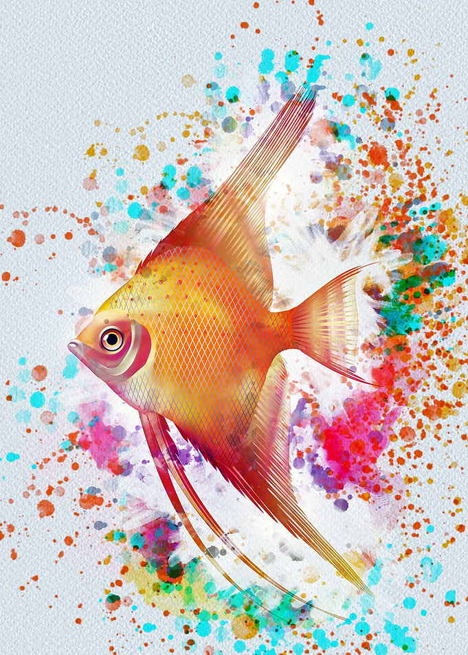 Angel Fish
