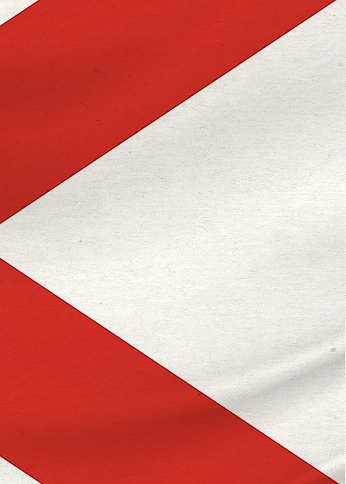 Florida Flag 3 of 3
