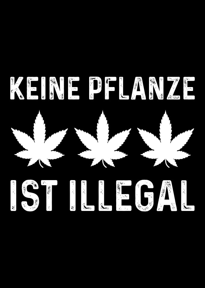 No plant illegal hemp cann