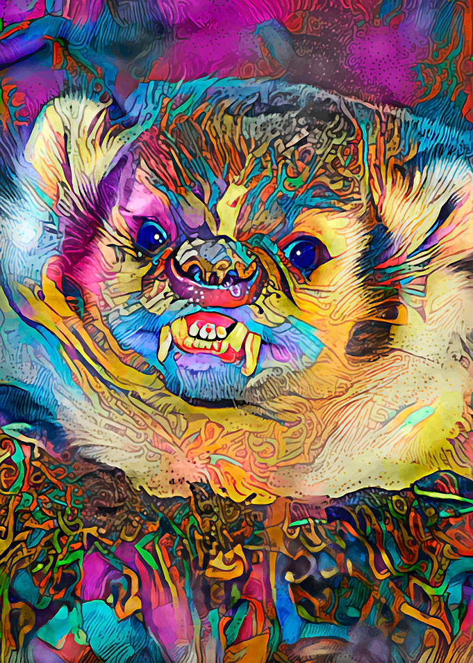 Angry