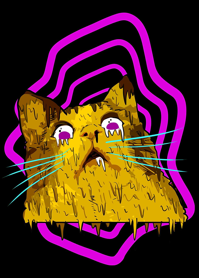 Cat Grime