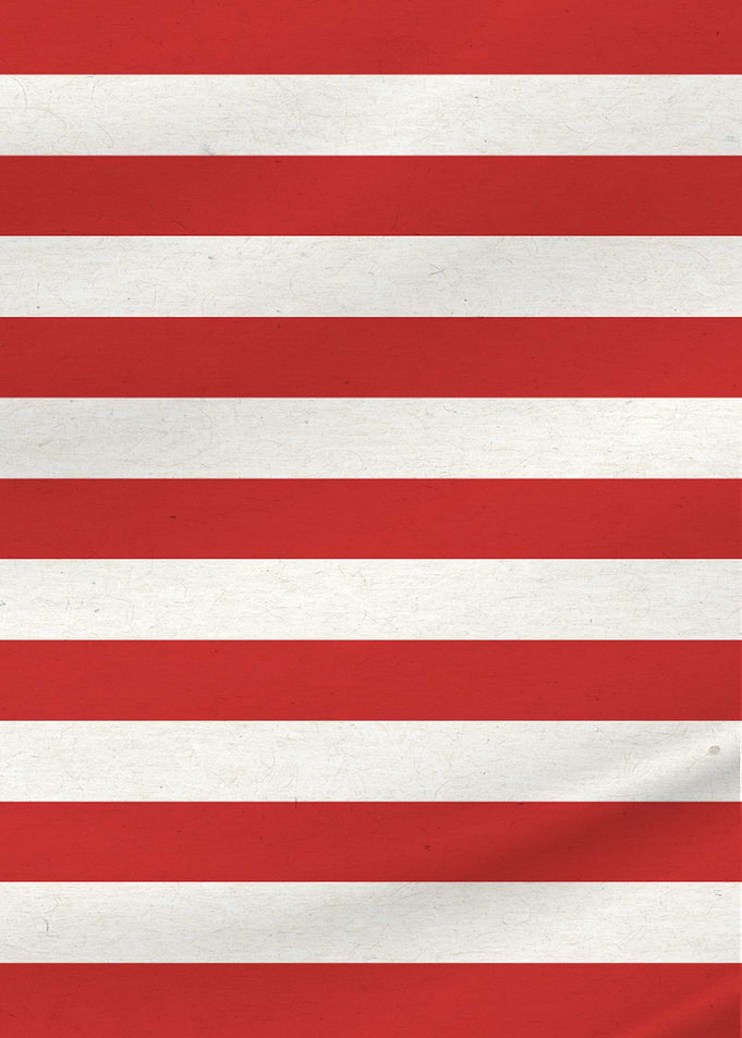 USA Flag 3 of 3