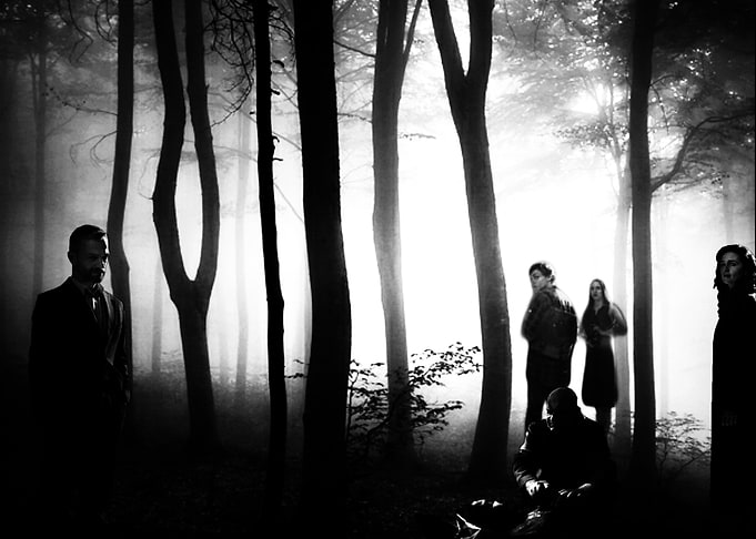 The Woods