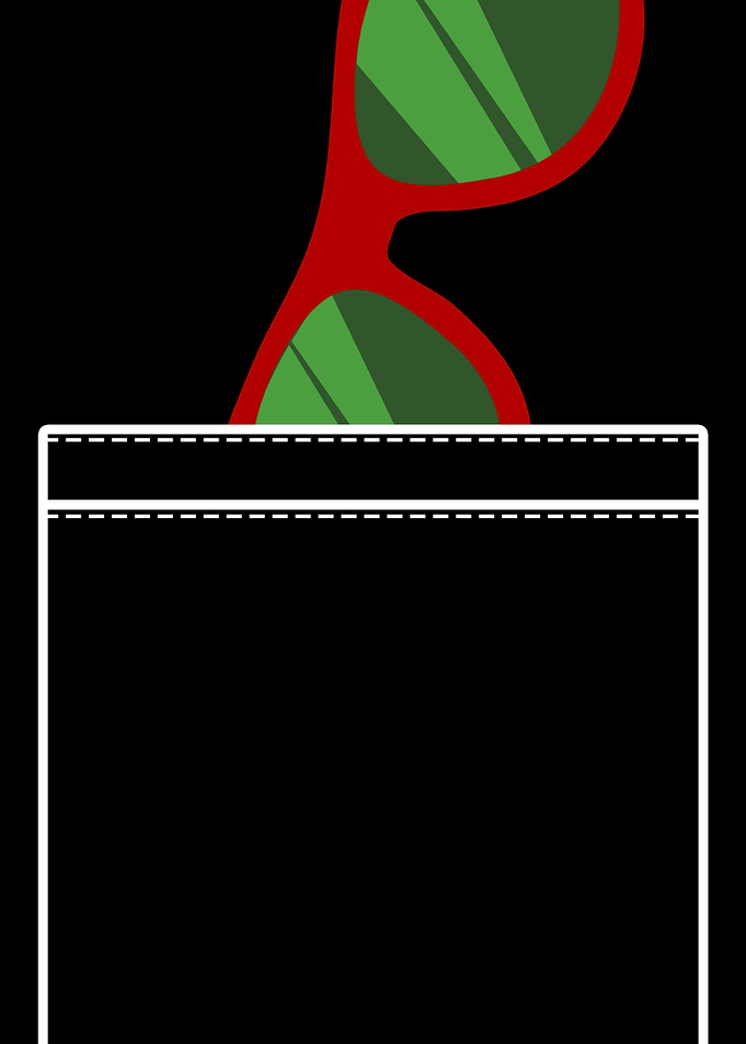 Sunglasses Pocket