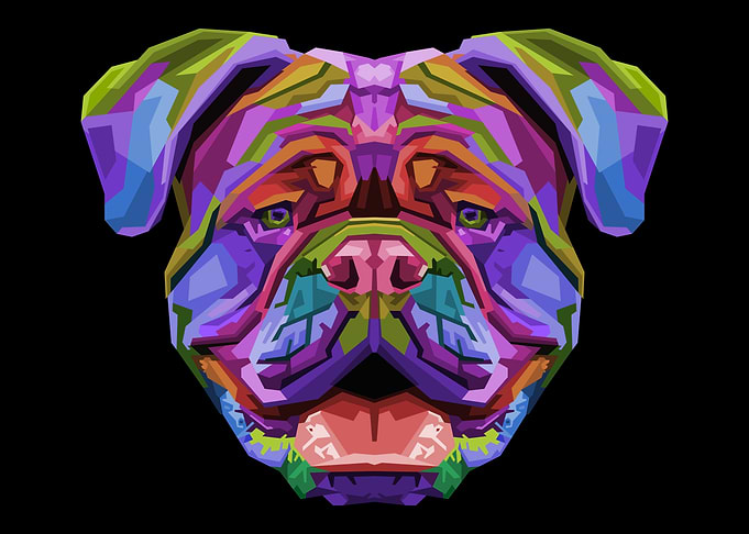 colorful british bulldog