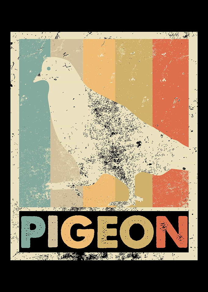 Pigeon