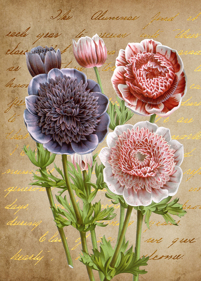 Flowers Bouquet