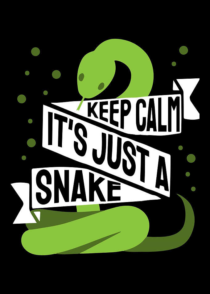 Its Just a Snake Snakes