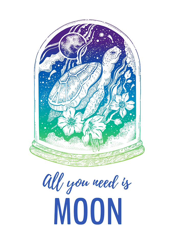 Moon Turtle