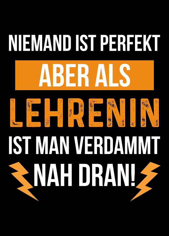 Niemand Perfekt Lehrerin N