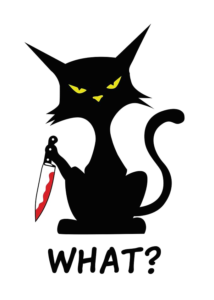 Cat Black Cat Cats Gift