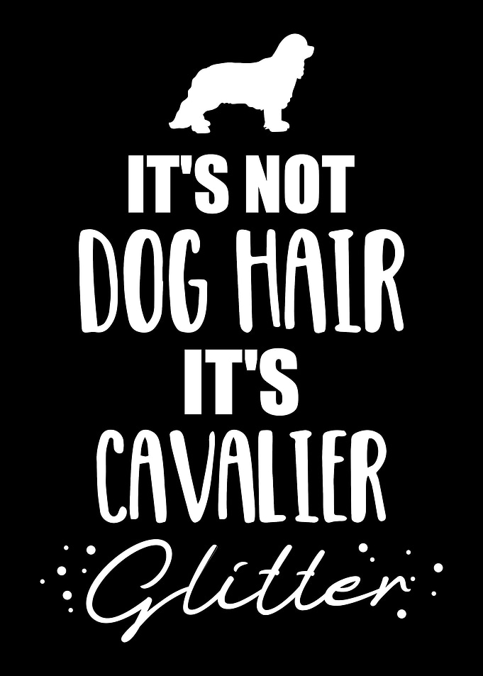 Cavalier King Charles