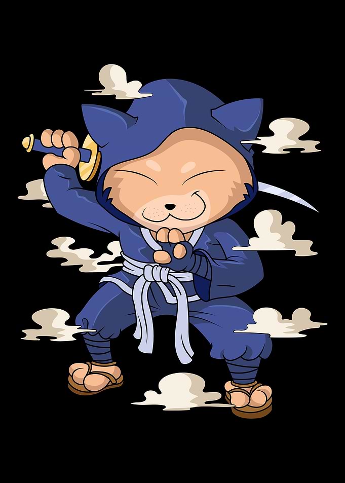 Cat Ninja Japan Fans