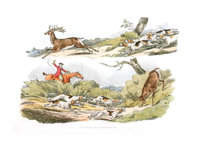 hunter with dogs