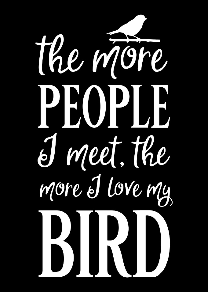 Bird lover