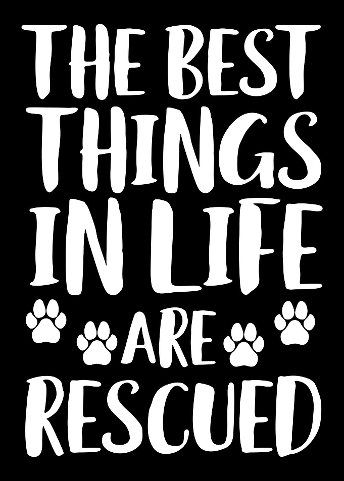 animal shelter