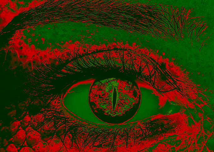 eyes on a snake