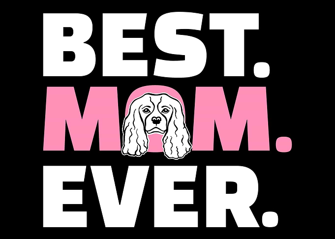 Cavalier King Charles