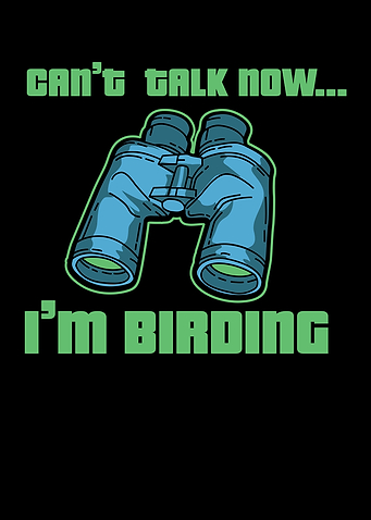 Bird Watching