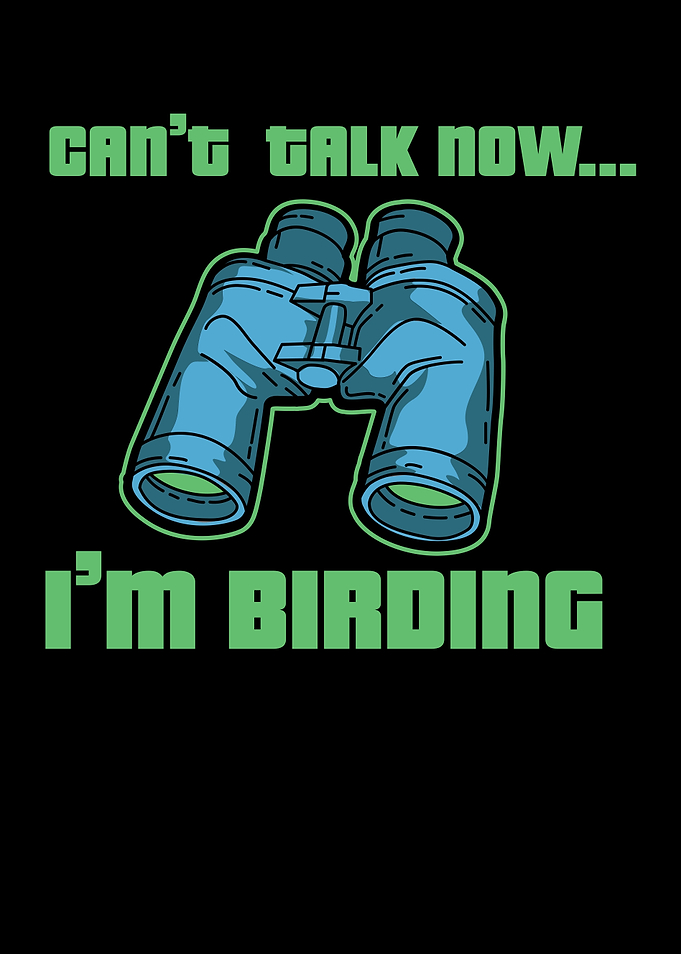 Bird Watching