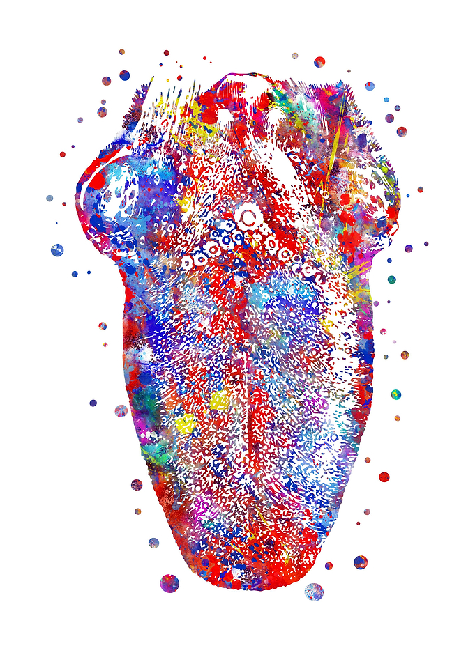 Human tongue