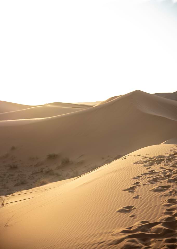 Desert sunrise
