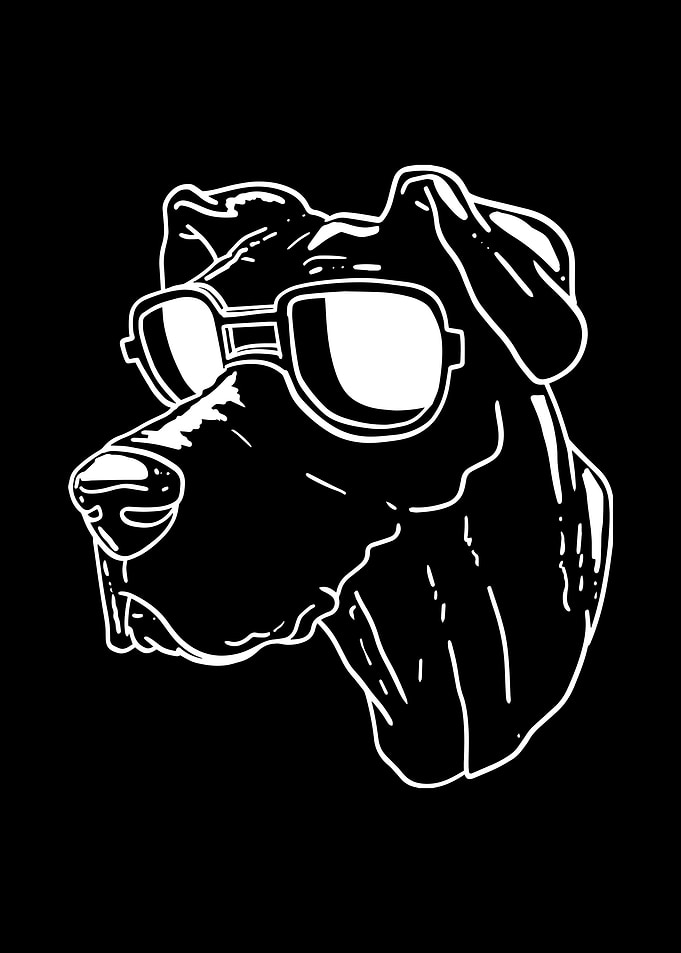 Great Dane Dog Sunglasses