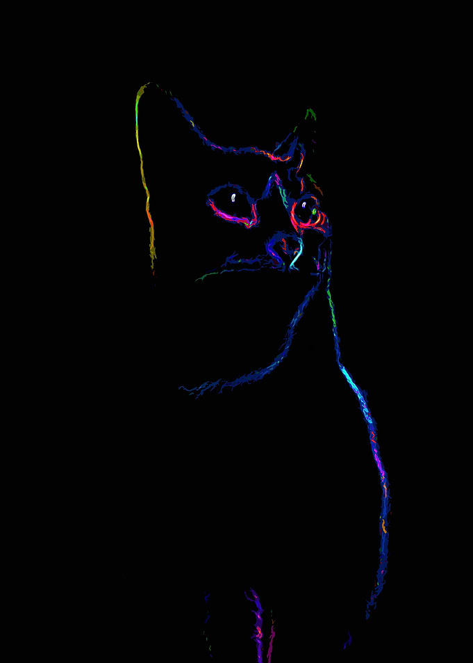 Nasha