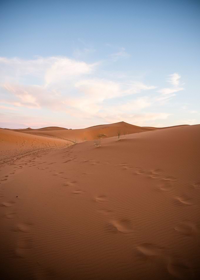 Desert sunset
