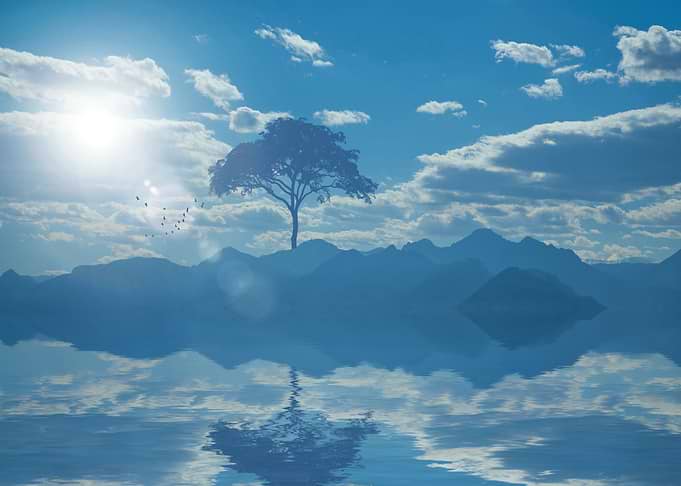 landscape