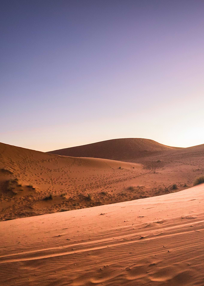 Desert sunset