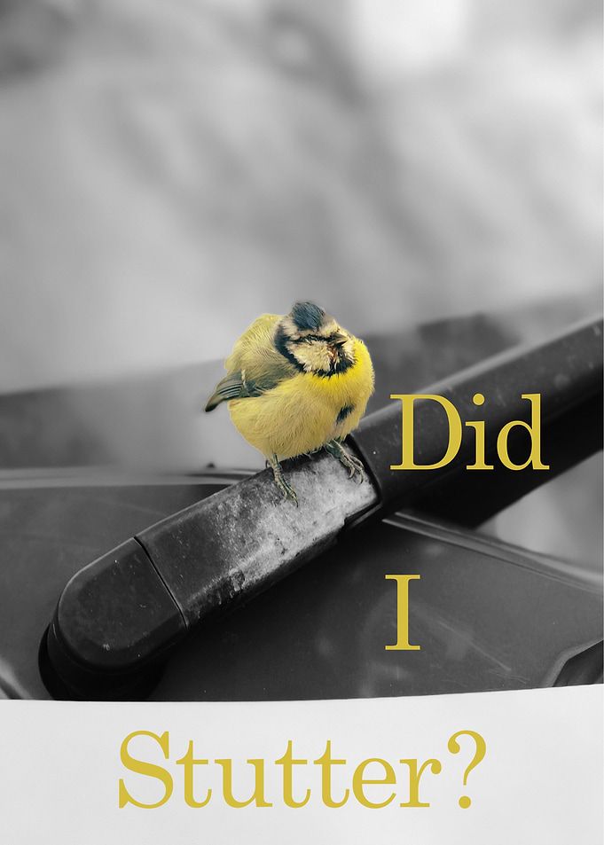 Stutter Bird