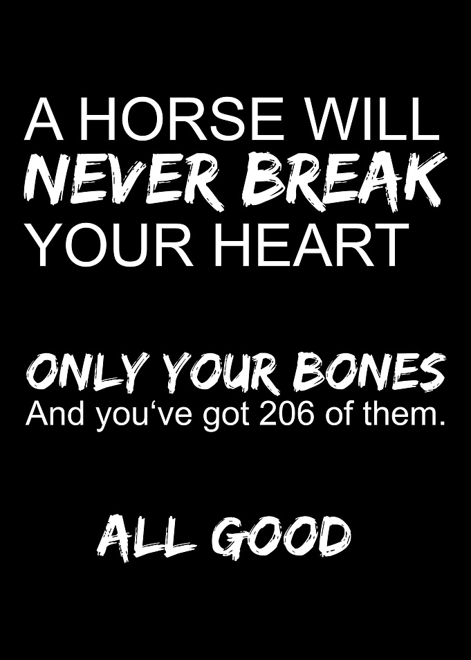 Funny Horse Owner