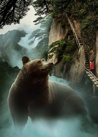 Inside the Deep Forest