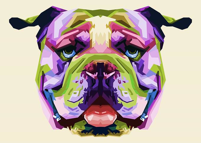 colorful english bulldog